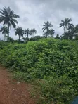 Acre 8 na Filaye don Siyarwa, Garin Oore - 2