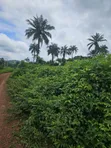 2000 Acres na Filin Noma a Faforiji - 2