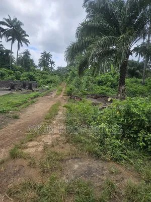 2000 Acres Farmland at Faforiji