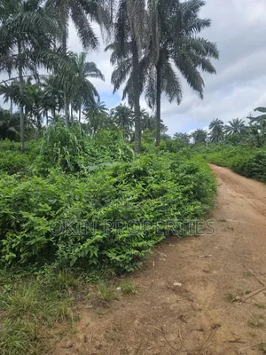 500 Acres Farmland at Araromi Okeodo, Osun State