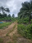 500 Acres Farmland at Araromi Okeodo, Osun State - 2