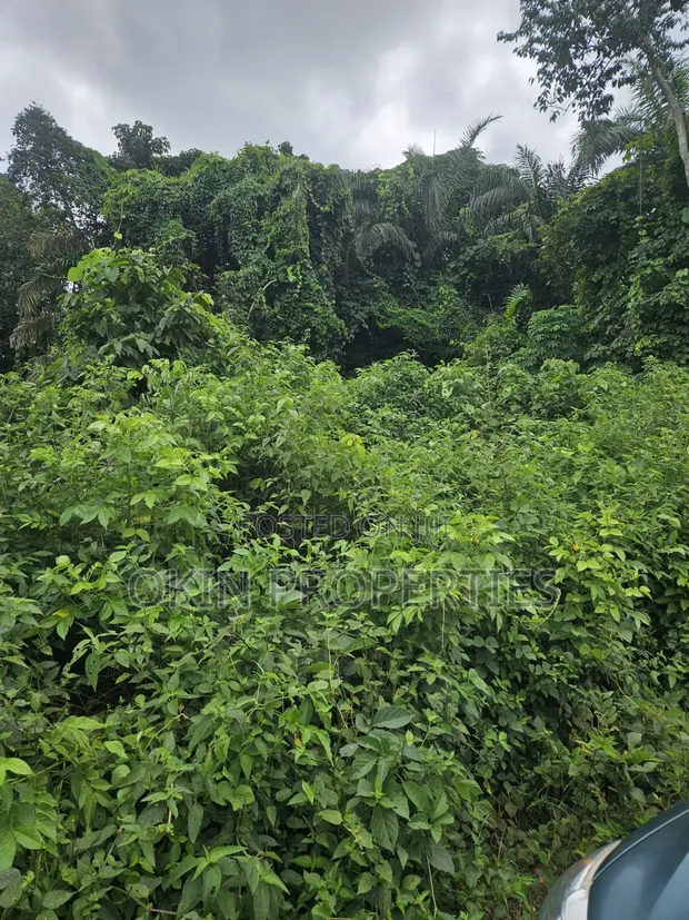 2000 Acres Farmland at Ogbaaga, Osogbo - 1