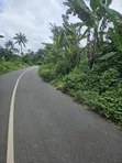 2000 Acres Farmland at Ogbaaga, Osogbo - 2