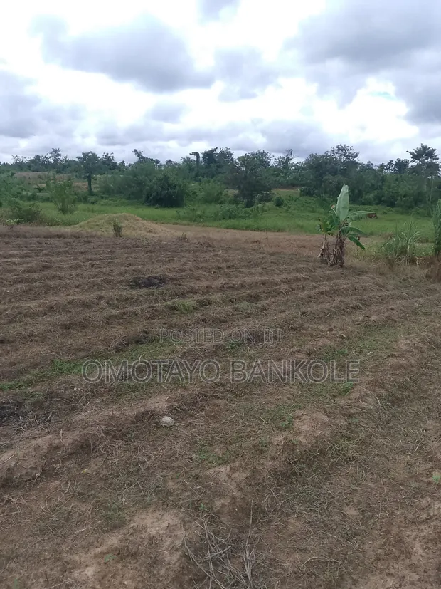 6 Plots of Land for Sale at Eleyowo Estate, Akure - 1
