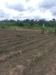 6 Plots of Land for Sale at Eleyowo Estate, Akure - 1