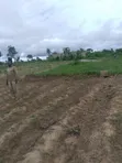 6 Plots of Land for Sale at Eleyowo Estate, Akure - 4