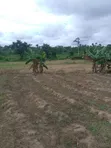 6 Plots of Land for Sale at Eleyowo Estate, Akure - 5