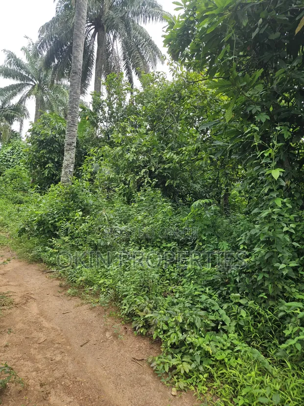 2100 Acres Farmland at Agbora Village, Ikire-Iwo Road - 1
