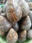 Kayan Dawa Na Gaskiya Na Najeriya - Sabo Da Mai Kauri - 1