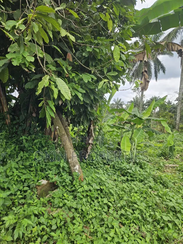 1000 Acres na Filin Noma a Oloode ta Ifetedo - 1
