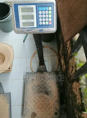 Amfani Da Camry Platform Scale