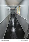 Tridon Cleaners: Odourless Fumigation & Pest Control - 1