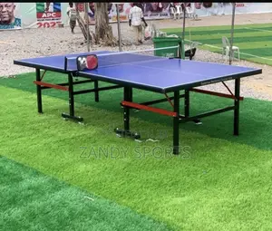 Aluminum Table Tennis Table - Supermax Pro