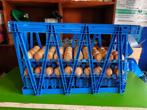 74cm x 46cm Large Egg Transfer Crate - 1