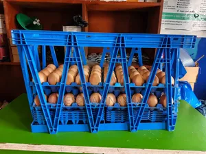 74cm x 46cm Large Egg Transfer Crate