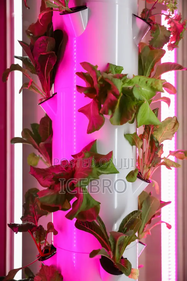 Hydroponic Farm Design & Infrastructure Nigeria - 1