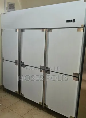 6-Door 2000L Coldroom Iceblock Freezer