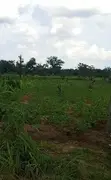 Irrevocable Power of Attorney Land for Sale, Awka - 1