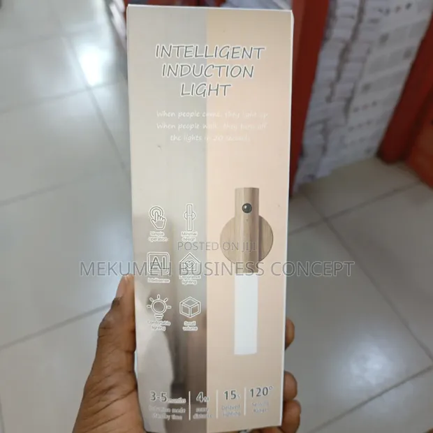 Intelligent Induction Light - 1