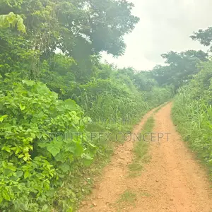 Acres of Fertile Farmland for Sale, Moniya, Ibadan