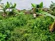 Residential Land for Sale in Simawa - 2