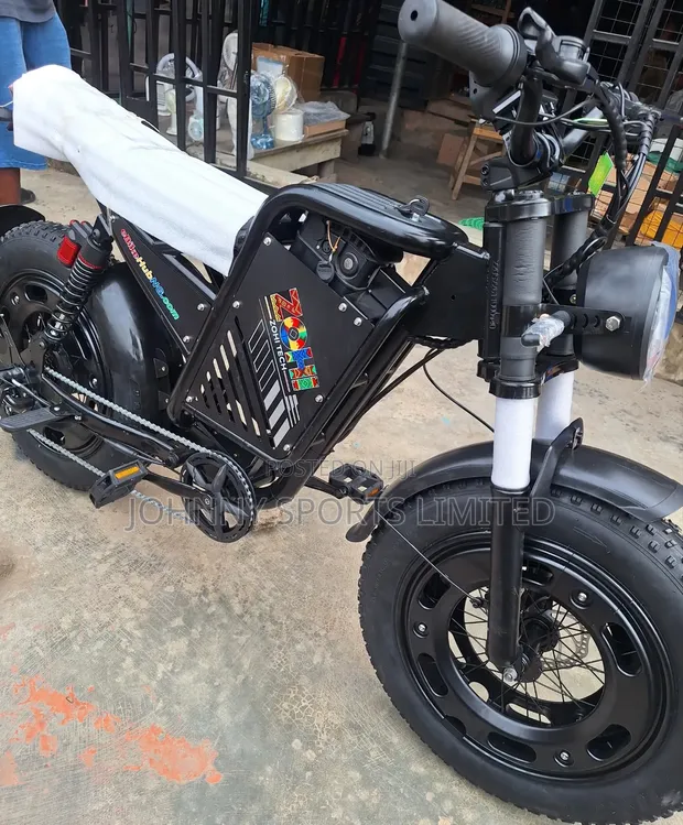 Fat Tyre Electric Bike - 1