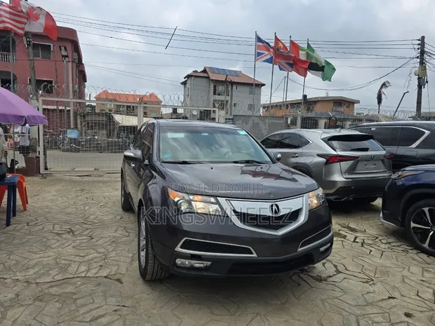 Acura MDX 2010 Gray - 1