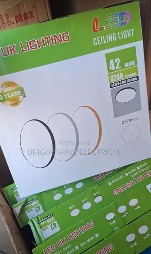 42W Ceiling Fitting Light