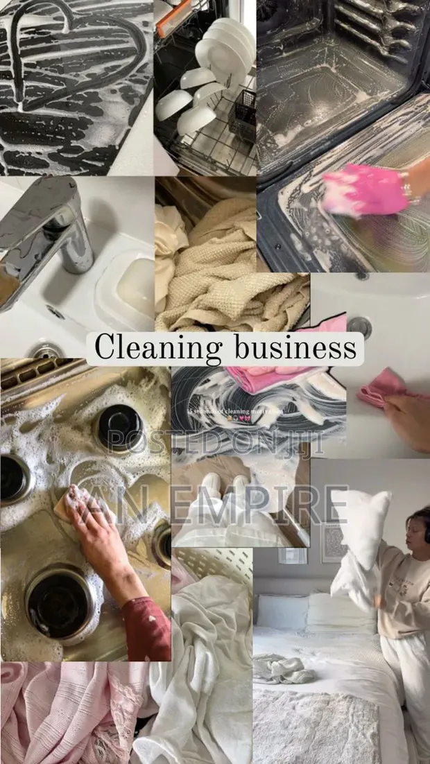 Lufilia's Cleaning Services - 1