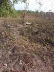 Filin Zama don Siyawa - Adeagba Itori - 1
