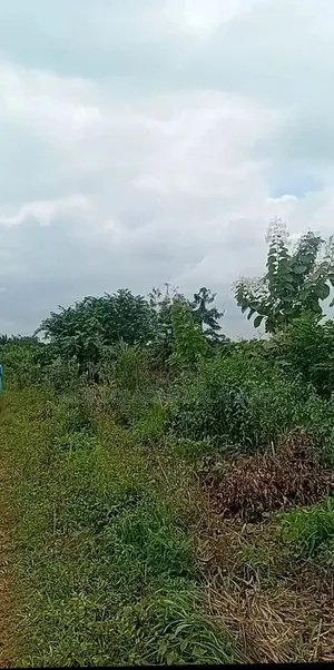 Filin Zama don Siyawa - Adeagba Itori