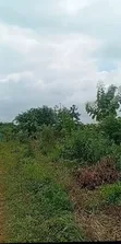 Filin Zama don Siyawa - Adeagba Itori - 2