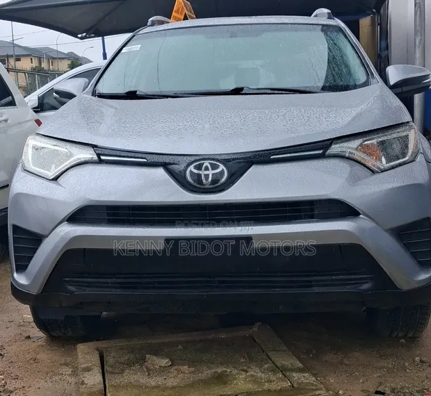 2019 Toyota RAV4 Silver - 1
