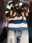 Rottweiler Zuriya - Yarinya Mai Wata 1-3 - 2