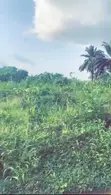 Rabin Kasuwa: 50x100 Filin Dadi a Uroho 1, Kan Hanyar Sapele Road Bypass - 2