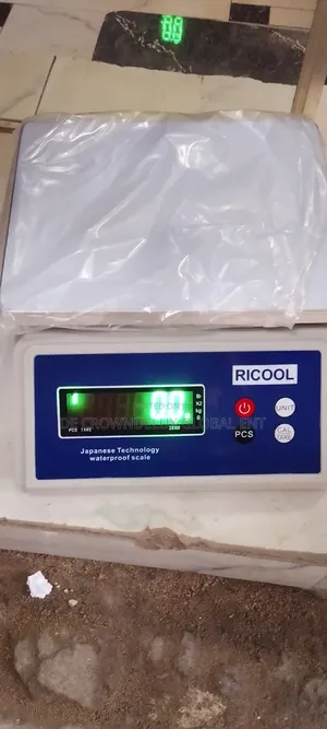 30kg Electronic Weighing Scale (0.1g Hassasi)