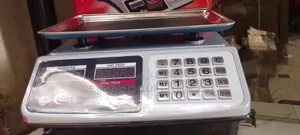 30 Kg Electronic Platform Scale - Brand New