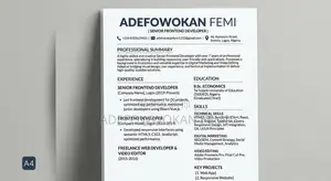 Frontend Developer CV - 7 Years Experience