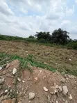 Half Plot of Land for Sale, Yakoyo, Ojodu Berger - 5