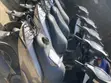 Honda Dio 2020 Baburwar Zango - 5