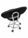 Adjustable Rolling Swivel Stool with Backrest | Salon, Clinic, Office - 2