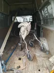 Ford Transit Bus 2000 Fari - 3
