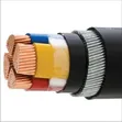 70mm 4-Core Armoured Cable by Coleman Cable - 2