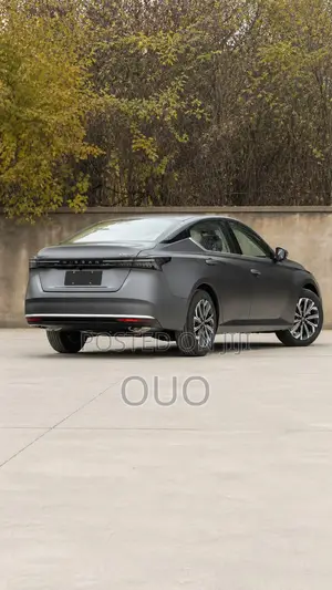 Nissan Altima 2025 Gray