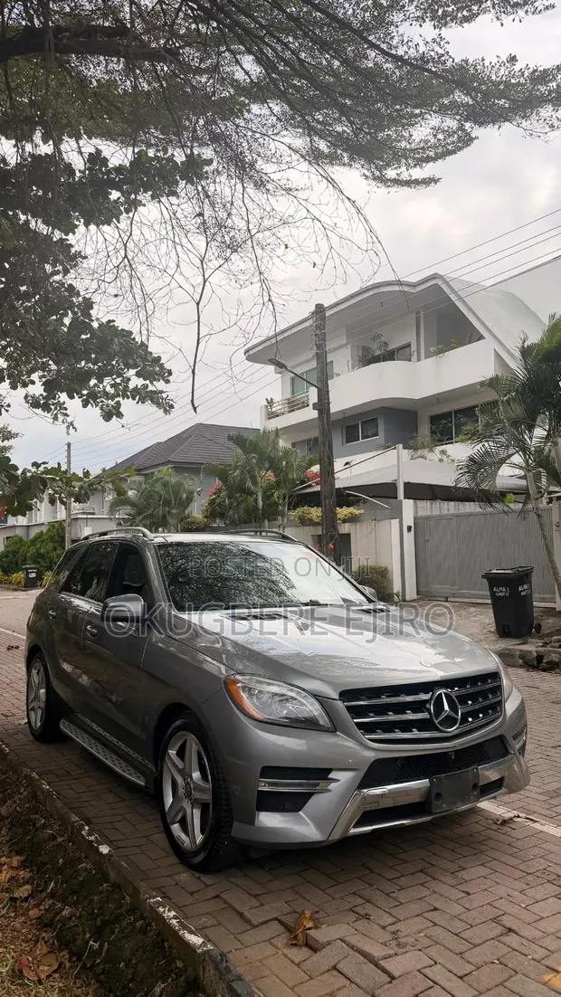 2014 Mercedes-Benz ML350 Gray - 1