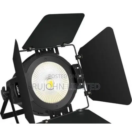 Professional 100W COB LED Par Light - 1