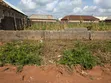 Filin Dadi kusa da Jami'ar Tarayya Lafia - 2