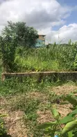 Half Plot of Land in Fagbile Ijegun - 3