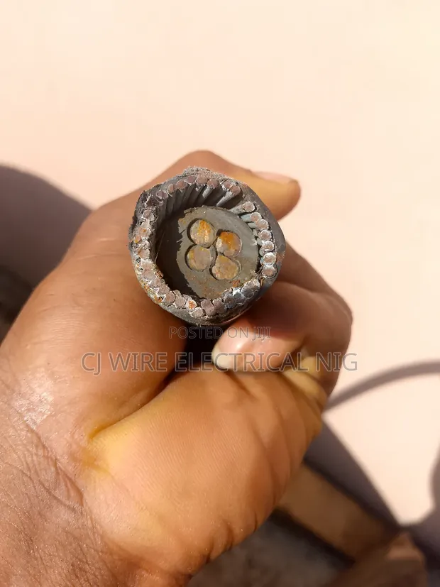 10mm 4-Core Armored Cable - 1