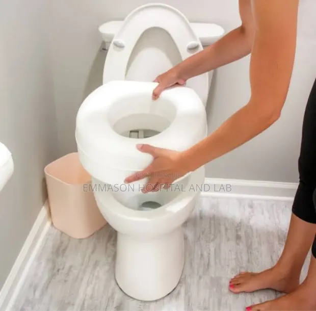 HealthSmart Toilet Raiser - 1